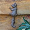 Climbing Squirrel Wall Hook - Box of 2