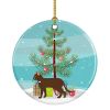 NEW Suphalak Cat Christmas Ceramic Ornament Christmas Tree Hanging Decorations for Home Christmas Holiday, Party, Gift, 3 in, Multicolor