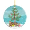 NEW Serengeti Cat Christmas Ceramic Ornament Christmas Tree Hanging Decorations for Home Christmas Holiday, Party, Gift, 3 in, Multicolor