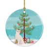 NEW Burmilla Cat Christmas Ceramic Ornament Christmas Tree Hanging Decorations for Home Christmas Holiday, Party, Gift, 3 in, Multicolor