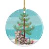 NEW Foldex Exotic Fold Cat Christmas Ceramic Ornament Christmas Tree Hanging Decorations for Home Christmas Holiday, Party, Gift, 3 in, Multicolor