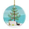 NEW Ragamuffin Cat Christmas Ceramic Ornament Christmas Tree Hanging Decorations for Home Christmas Holiday, Party, Gift, 3 in, Multicolor