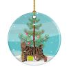 NEW Pixie Bob Cat Christmas Ceramic Ornament Christmas Tree Hanging Decorations for Home Christmas Holiday, Party, Gift, 3 in, Multicolor